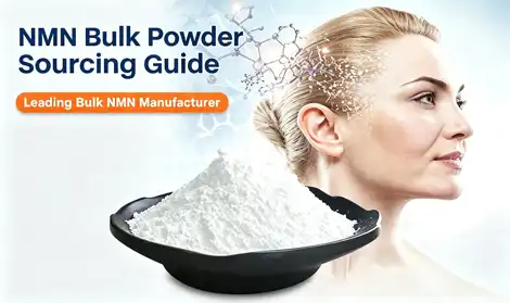 NMN Bulk Powder: Mechanisms of Action, Applications, and Quality Specifications